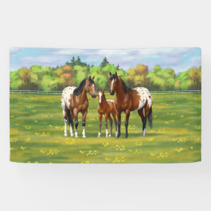 Paarden van de bruine baai Appaloosa in de zomerpe Spandoek