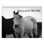 Paarden van de Flint Hills Kalender (Hoes)
