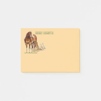 "Paarden van de Hohe Nakota" Post-it® Notes