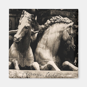 Paarden van Florence, Italië Magneet