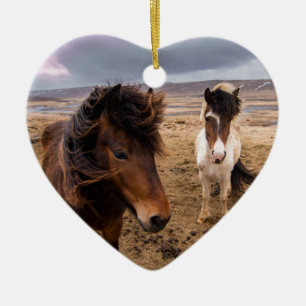 Paarden van IJsland Keramisch Ornament