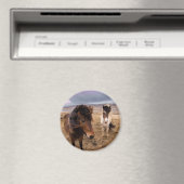 Paarden van IJsland Magneet (Insitu (Vaatwasser))