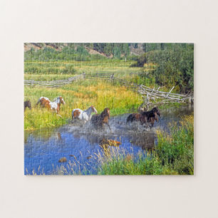 Paarden van Montana. Legpuzzel