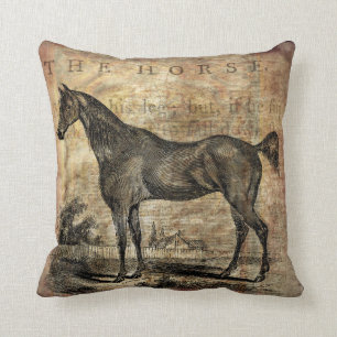 Paarden van paard Thoroughbred en van Arabieren Kussen