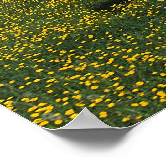 Paarden van verf die in het veld Bloemen lopen Poster (Hoek)