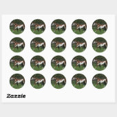 Paarden van verf die lopen 1 ronde sticker (Vel)