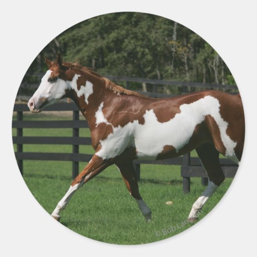 Paarden van verf die lopen 1 ronde sticker (Voorkant)