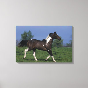 Paarden van verf die lopen 2 canvas afdruk