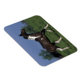 Paarden van verf die lopen 2 magneet (Rechterzijde)