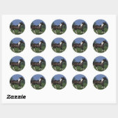 Paarden van verf die lopen 2 ronde sticker (Vel)