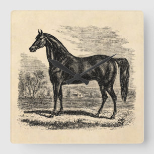 Paarden van Vintage 1800 - Sjabloon van Morgan Equ Vierkante Klok