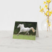 Paarden van witte gaard kaart (Gele Bloem)