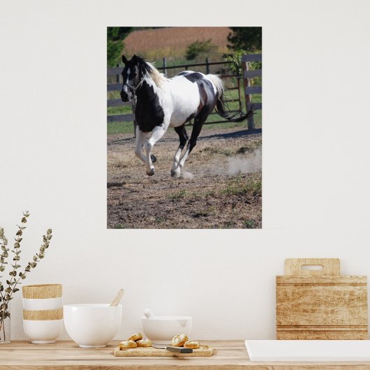 Paarden/verf Poster (Keuken)