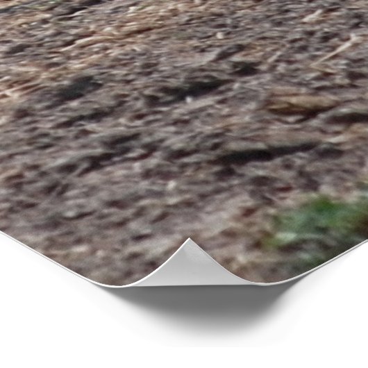 Paarden/verf Poster (Hoek)