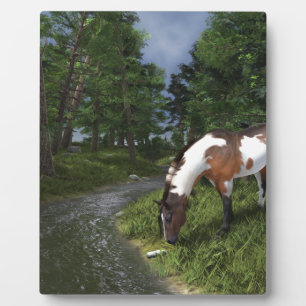 Paarden verven door Forest Stream Fotoplaat