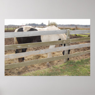 Paarden verven in Corral Poster
