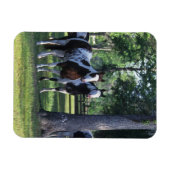 Paarden verven in de bomen magneet (Horizontaal)