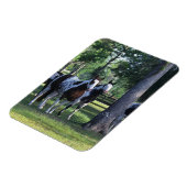 Paarden verven in de bomen magneet (Linkerzijde)