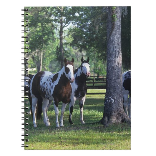 Paarden verven in de bomen notitieboek (Voorkant)