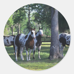 Paarden verven in de bomen ronde sticker