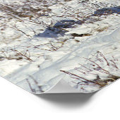 Paarden verven in sneeuw poster (Hoek)