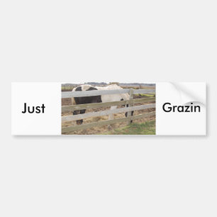 Paarden verven/verven bumpersticker