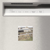 Paarden verven/verven magneet (Insitu (Vaatwasser))