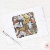 Paarden Vierkante Sticker (Envelop)