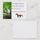 Paarden Visitekaartjes (Voorkant / Achterkant)