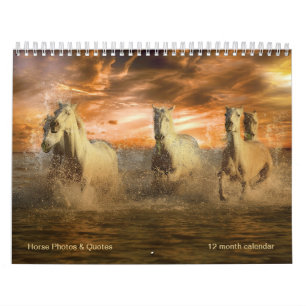 Paarden voor schitterende paarden en paardachtigen kalender