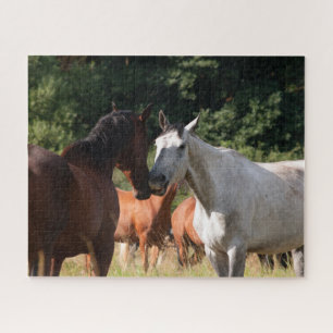 Paarden vrienden legpuzzel