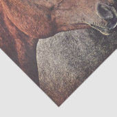 Paarden Weefselpapier voor ontkoppeling of collage Tissuepapier (Detail)