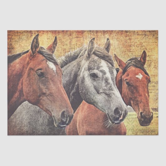 Paarden Weefselpapier voor ontkoppeling of collage Tissuepapier (Voorkant)