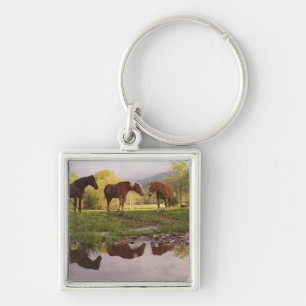 Paarden weerspiegeld in kleine stroom, Cades Cove, Sleutelhanger