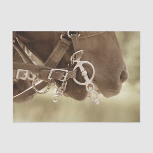 Paarden Western  Bruin Groene Rustische Ontvanger Tissuepapier (Voorkant)