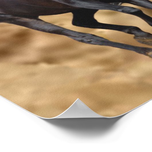 Paarden Wilde afdrukken Poster (Hoek)