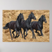 Paarden Wilde afdrukken Poster (Voorkant)