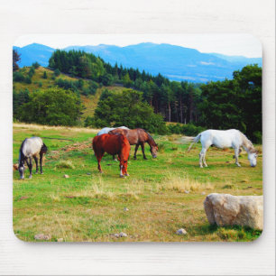 Paarden Wildlife Muismatten