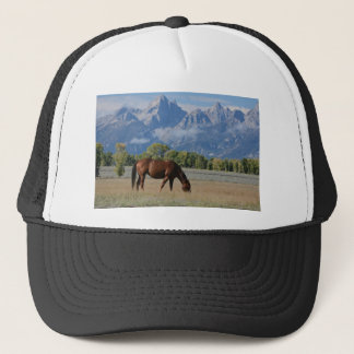 Paarden, Wyoming Ranch Trucker Pet
