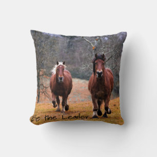 Paarden zijn de leider kussen