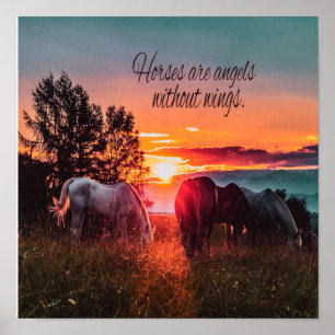 Paarden zijn engelen zonder vleugels poster