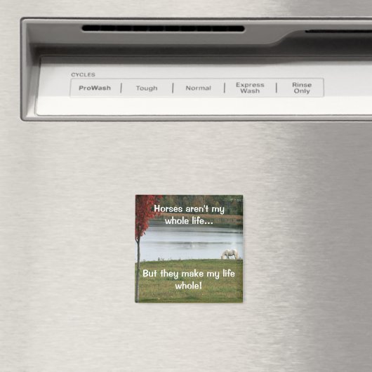 Paarden zijn niet mijn hele leven magneet (Insitu (Vaatwasser))