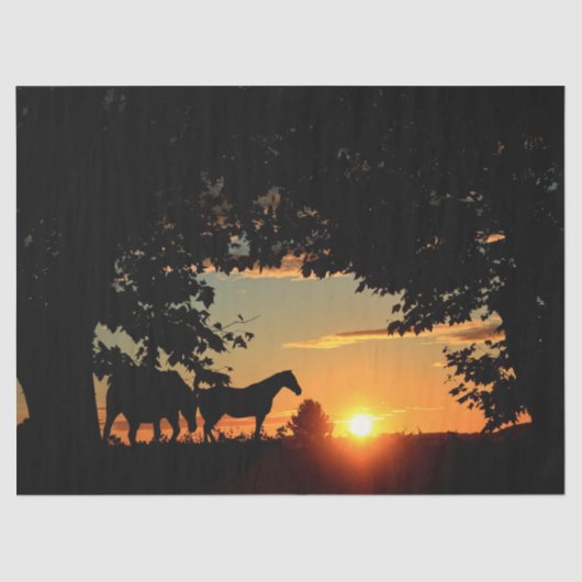 Paarden Zonnedeklaagpapier Tissuepapier (Voorkant)