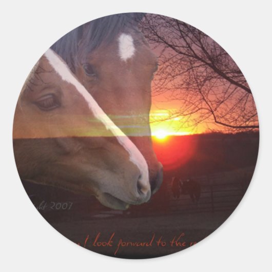 Paarden Zonsopgang Ronde Sticker (Voorkant)