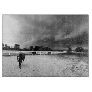 Paarden zwart en wit snijplank