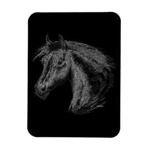 Paarden: zwart magneet