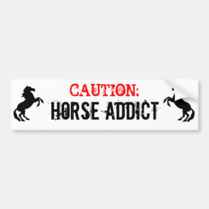 Paardenadvies Bumpersticker