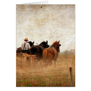 Paardenarbeid