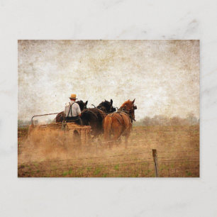 Paardenarbeid Briefkaart