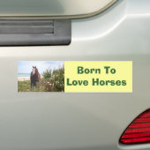 Paardenband Bumpersticker (Op auto)